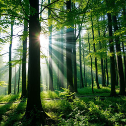 James Carter, Kierownik Projektu