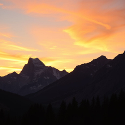 Międzynarodowe Środowiskowe